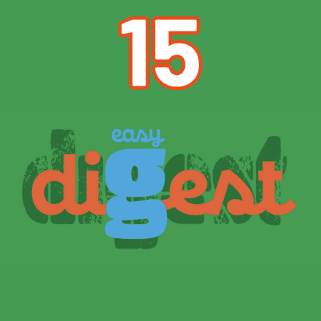 1 sachet de 15 sticks DIGEST